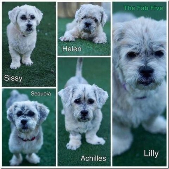 Meet your Posher, Kevin - Picture 1 of 1